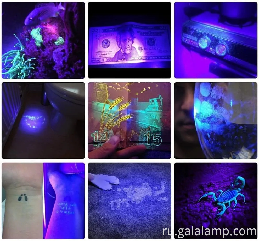 Портативный 365 -нм УФ -фонарик с перезаряжаемым черным светом и 5 режимами